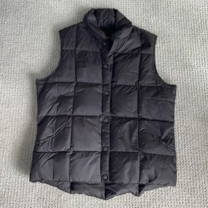 Dark Brown Puffer Best.